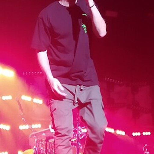 Fort Minor
