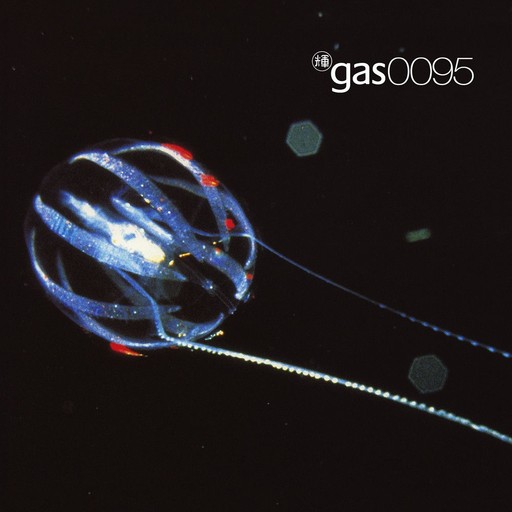 Gas